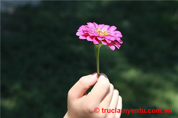 Sống biết đủ trong mùa đại dịch là hạnh phúc nhất